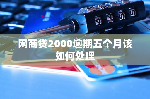 网商贷2000逾期五个月该如何处理