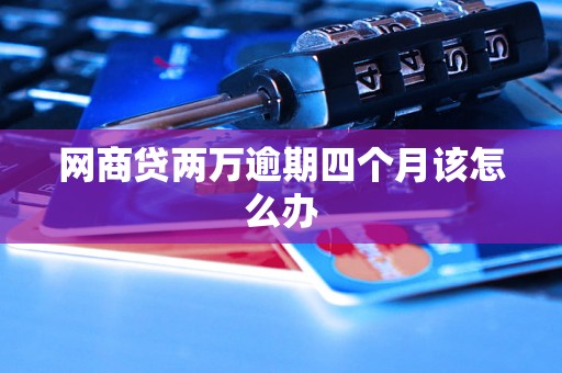 网商贷两万逾期四个月该怎么办