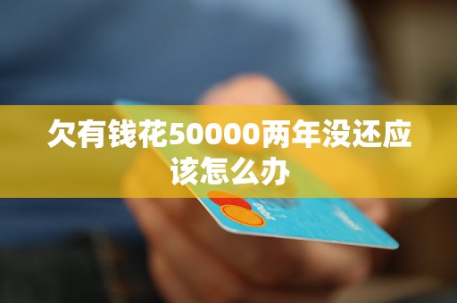 欠有钱花50000两年没还应该怎么办