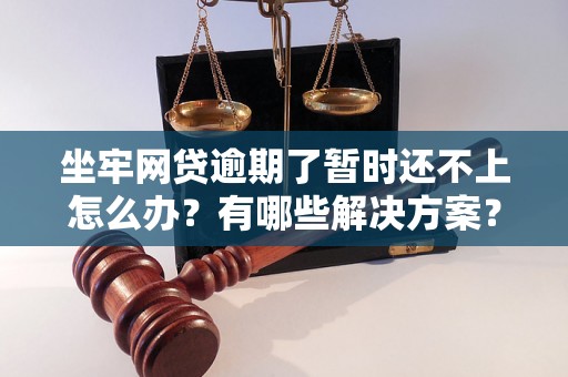 坐牢网贷逾期了暂时还不上怎么办？有哪些解决方案？