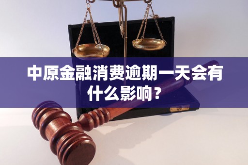 中原金融消费逾期一天会有什么影响？