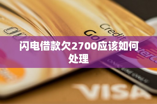 闪电借款欠2700应该如何处理