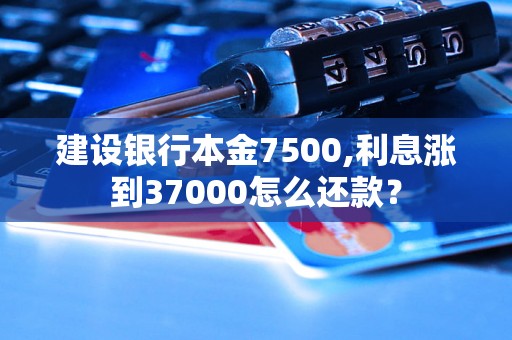 建设银行本金7500,利息涨到37000怎么还款？