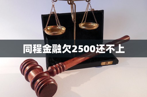 同程金融欠2500还不上
