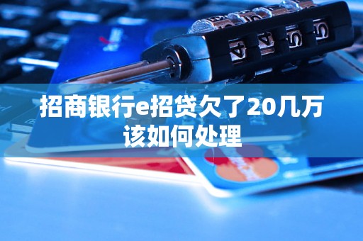 招商银行e招贷欠了20几万该如何处理 招商银行e招贷欠了20几万该如何处理