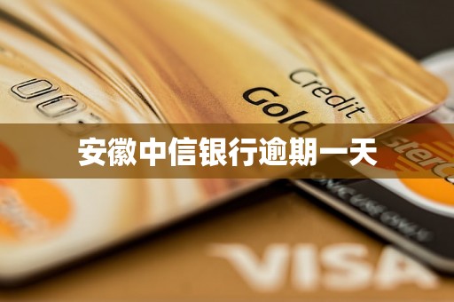 安徽中信银行逾期一天