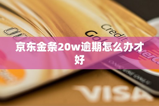 京东金条20w逾期怎么办才好