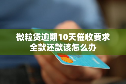 微粒贷逾期10天催收要求全款还款该怎么办