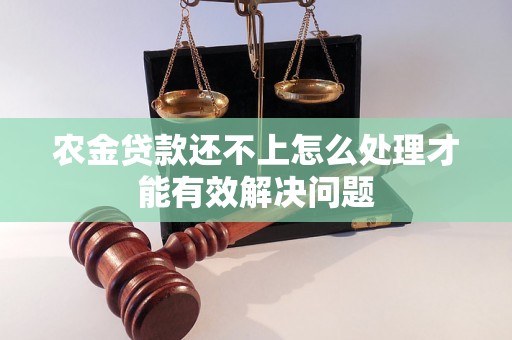 农金贷款还不上怎么处理才能有效解决问题 农金贷款还不上怎么处理才能有效解决问题