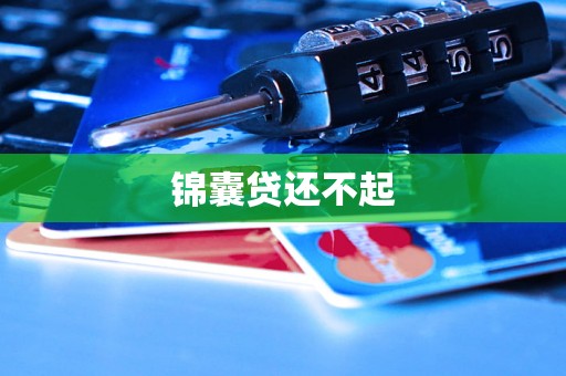 锦囊贷还不起