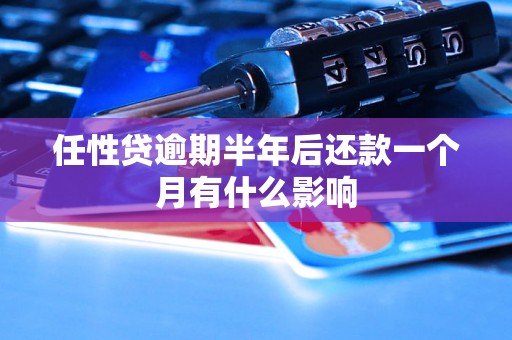 任性贷逾期半年后还款一个月有什么影响