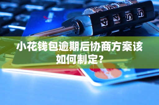 小花钱包逾期后协商方案该如何制定？