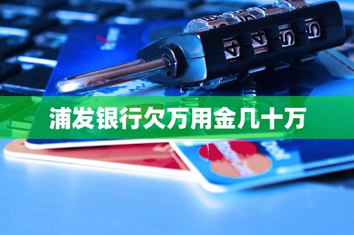 浦发银行欠万用金几十万 浦发银行欠万用金几十万