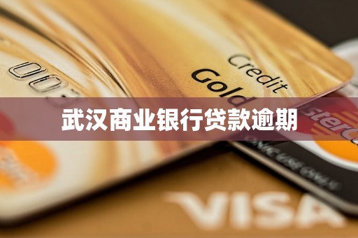 武汉商业银行贷款逾期