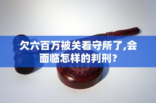 欠六百万被关看守所了,会面临怎样的判刑？