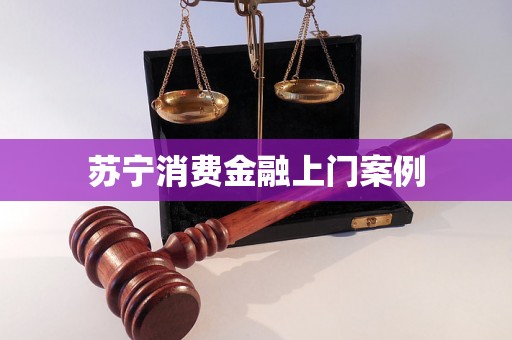 苏宁消费金融上门案例