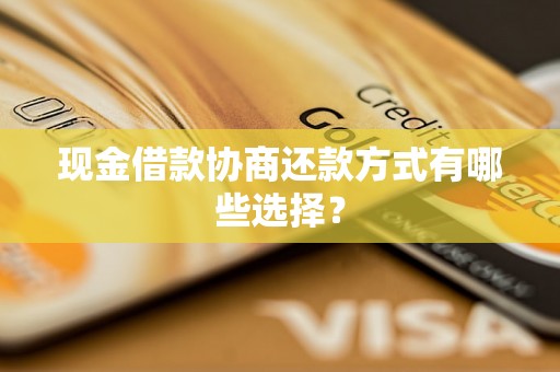 现金借款协商还款方式有哪些选择？