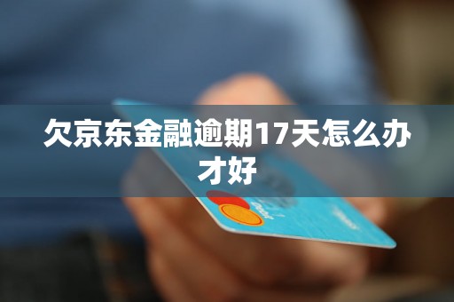 欠京东金融逾期17天怎么办才好