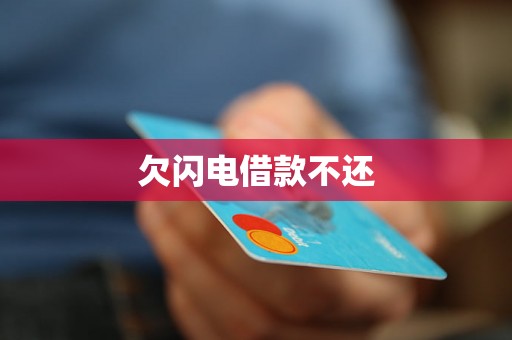 欠闪电借款不还