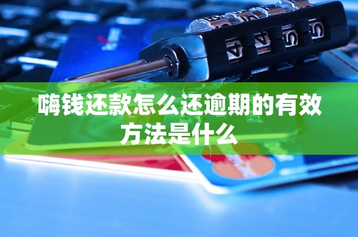嗨钱还款怎么还逾期的有效方法是什么 嗨钱还款怎么还逾期的有效方法是什么