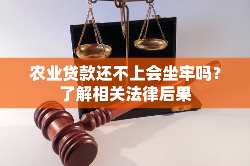 农业贷款还不上会坐牢吗？了解相关法律后果