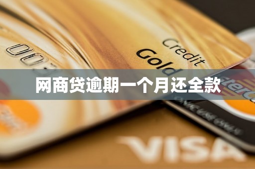 网商贷逾期一个月还全款