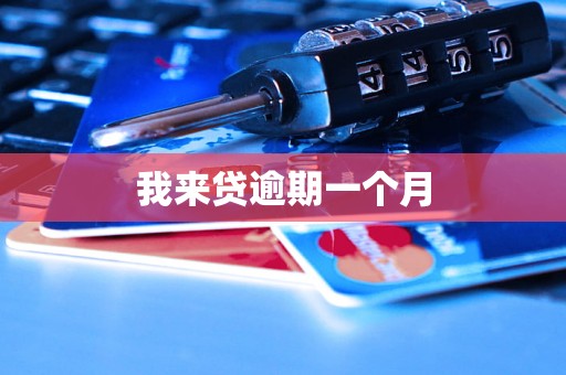 我来贷逾期一个月