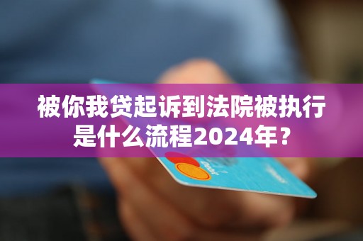 被你我贷起诉到法院被执行是什么流程2024年？