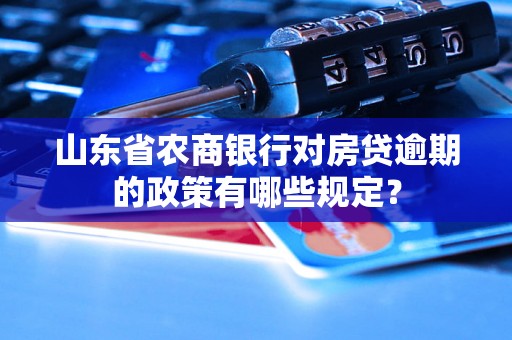 山东省农商银行对房贷逾期的政策有哪些规定？