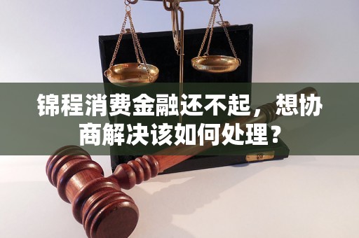 锦程消费金融还不起，想协商解决该如何处理？