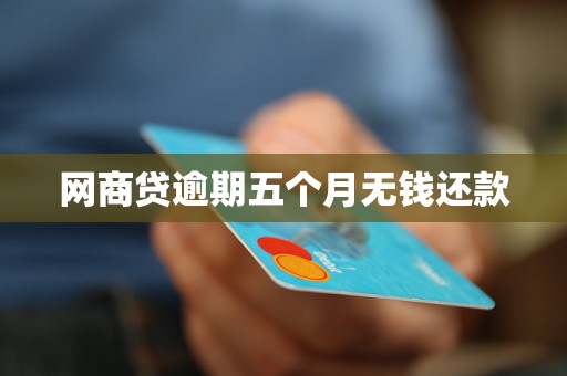 网商贷逾期五个月无钱还款 网商贷逾期五个月无钱还款