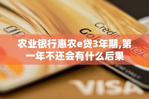 农业银行惠农e贷3年期,第一年不还会有什么后果