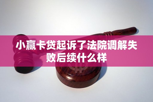 小赢卡贷起诉了法院调解失败后续什么样 小赢卡贷起诉了法院调解失败后续什么样