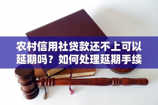 农村信用社贷款还不上可以延期吗？如何处理延期手续？