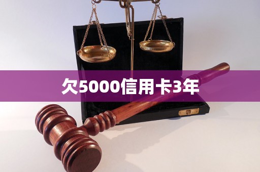 欠5000信用卡3年