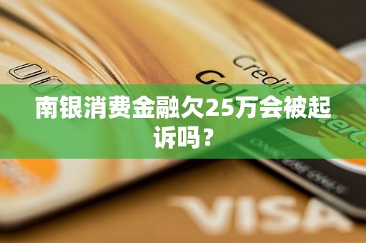 南银消费金融欠25万会被起诉吗？