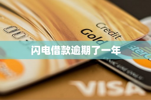 闪电借款逾期了一年
