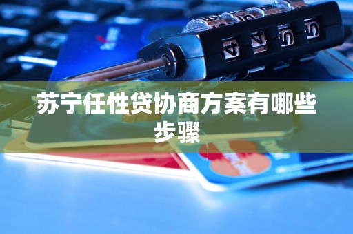 苏宁任性贷协商方案有哪些步骤