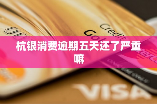 杭银消费逾期五天还了严重嘛 杭银消费逾期五天还了严重嘛
