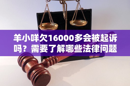 羊小咩欠16000多会被起诉吗？需要了解哪些法律问题？