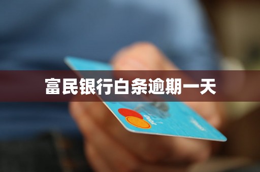 富民银行白条逾期一天