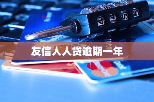 友信人人贷逾期一年