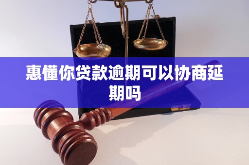 惠懂你贷款逾期可以协商延期吗