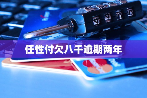 任性付欠八千逾期两年