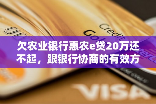 欠农业银行惠农e贷20万还不起，跟银行协商的有效方法是什么？