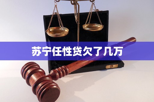 苏宁任性贷欠了几万 苏宁任性贷欠了几万