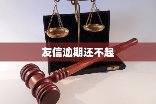 友信逾期还不起