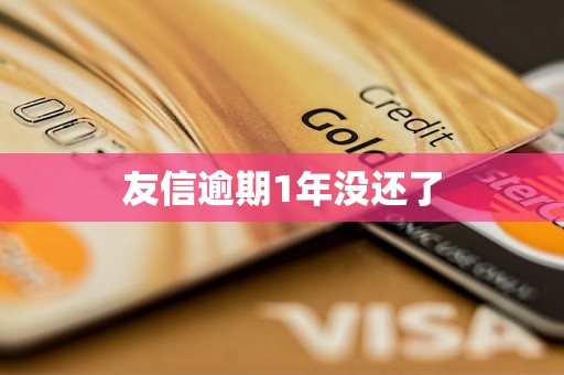 友信逾期1年没还了 友信逾期1年没还了