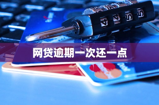 网贷逾期一次还一点