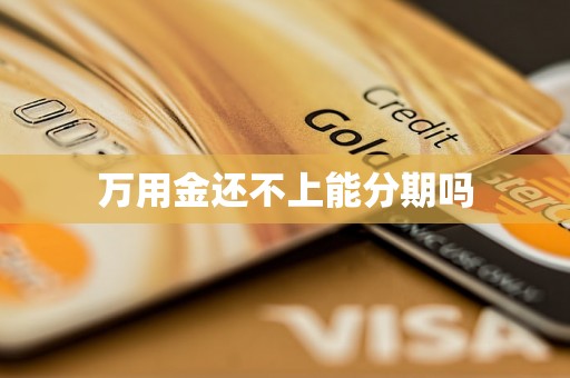 万用金还不上能分期吗 万用金还不上能分期吗